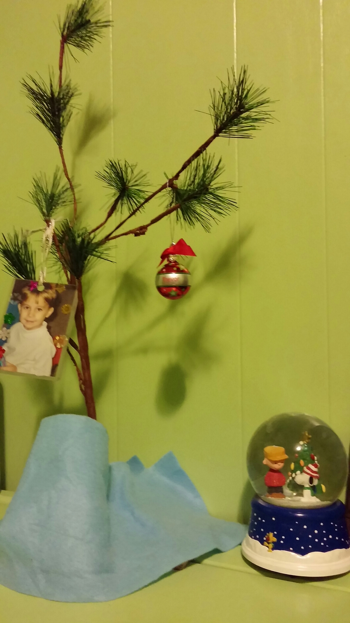 wp-1448886796914 image